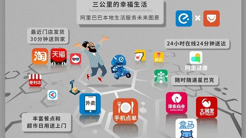 长途搬家，宠物托运的利与弊解析